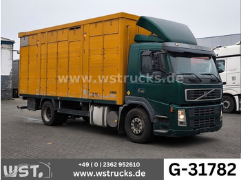 Hestebil VOLVO FM