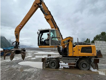 Leie Liebherr LH30M LITRONIC Liebherr LH30M LITRONIC: bilde 3
