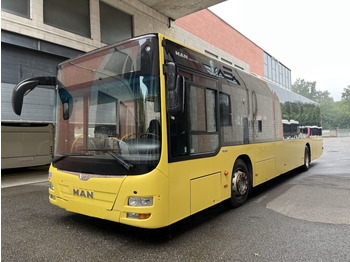 Bybuss N.1 MAN LIONS CITY – Anno 2015: bilde 3