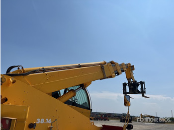 Teleskoplastere 2009 Dieci Pegasus 38.16 Telehandler: bilde 4