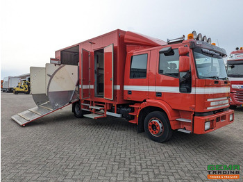 Hestebil IVECO