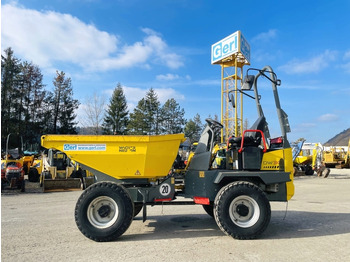 Kompaktdumper NEUSON