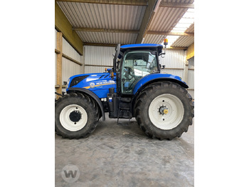Leie New Holland T 7.245 AC StageV New Holland T 7.245 AC StageV: bilde 1