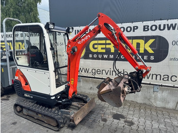 Minigraver KUBOTA KX41