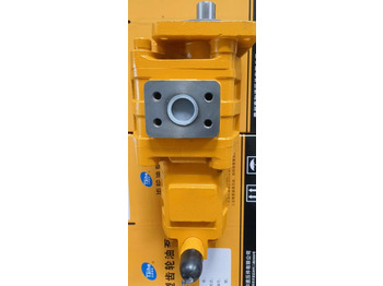 Ny Hydraulisk pumpe for Hjullaster Qingdao Promising Hydraulic Double Gear Pumps Fit China Loader: bilde 5