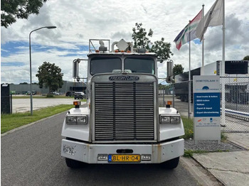 Chassis lastebil Freightliner 3 AXLE RIGID BODY chassis cabine: bilde 2