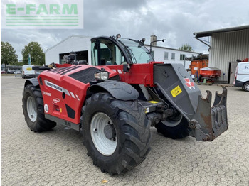 Teleskoplastere MASSEY FERGUSON