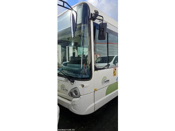 Buss