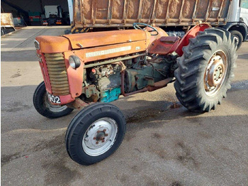 Traktor MASSEY FERGUSON