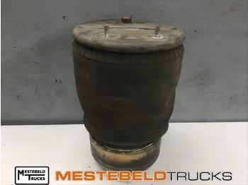 Bremsedeler DAF