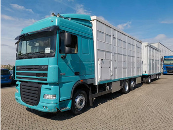 Dyretransport lastebil DAF XF 105 460