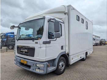 Hestebil MAN TGL 12.250
