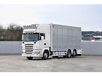 Dyretransport lastebil SCANIA R 500