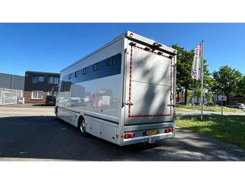 Hestebil MAN TGM 15.250 5 horses and living brand Krismar: bilde 2