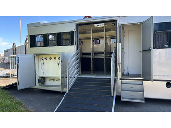 Hestebil MAN TGM 15.250 5 horses and living brand Krismar: bilde 3