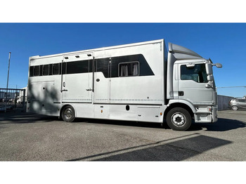 Hestebil MAN TGM 15.250