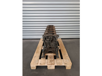 Sylinderblokk RENAULT Premium