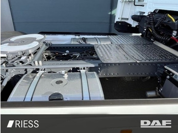 Leie  DAF XG 530 FT Alcoa Leder Vollluft Standklima DAF XG 530 FT Alcoa Leder Vollluft Standklima: bilde 5