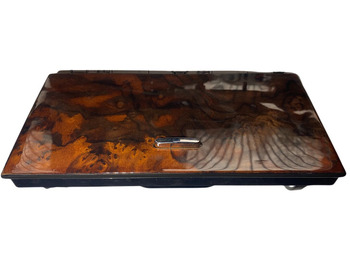 Førerhus og interiør JAGUAR