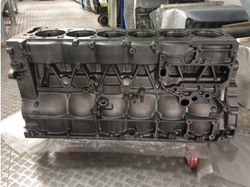 Veivhus BASAMENTO MAN D2676 - EURO 6: bilde 5