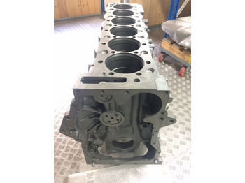 Veivhus BASAMENTO MAN D2676 - EURO 6: bilde 4