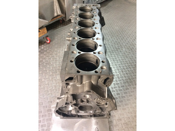 Veivhus BASAMENTO MAN D2676 - EURO 6: bilde 2