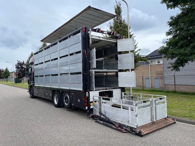 DAF XF 460 2017 berdex 3 lagen varkens - Dyretransport lastebil: bilde 4 DAF XF 460 2017 berdex 3 lagen varkens - Dyretransport lastebil: bilde 4