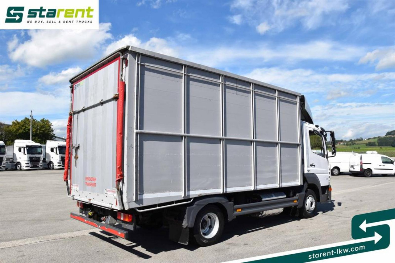 Mercedes Benz 818 Viehtransporter Scheuwimmer Aufbau - Dyretransport lastebil: bilde 5 Mercedes Benz 818 Viehtransporter Scheuwimmer Aufbau - Dyretransport lastebil: bilde 5