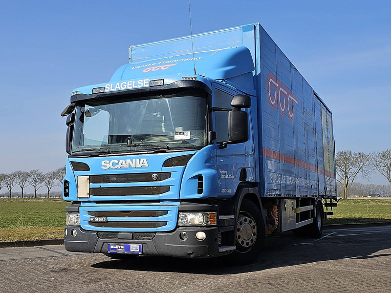Scania P250 - Skapbil: bilde 1 Scania P250 - Skapbil: bilde 1
