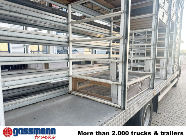 Mercedes-Benz LK 817 4x2, Taubentransporter - Skapbil: bilde 2 Mercedes-Benz LK 817 4x2, Taubentransporter - Skapbil: bilde 2