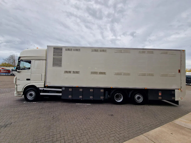 DAF XF 440 SuperSpaceCab 6x2*4 - 2 deck Closed Livestock - 40M2 - Filtersystem - Dyretransport lastebil: bilde 4 DAF XF 440 SuperSpaceCab 6x2*4 - 2 deck Closed Livestock - 40M2 - Filtersystem - Dyretransport lastebil: bilde 4