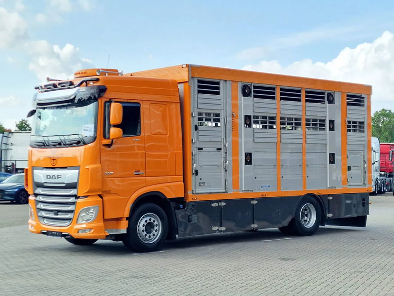 DAF XF 530 4x2 - Livestock Menke 2 deck water & ventilation - Dyretransport lastebil: bilde 5 DAF XF 530 4x2 - Livestock Menke 2 deck water & ventilation - Dyretransport lastebil: bilde 5