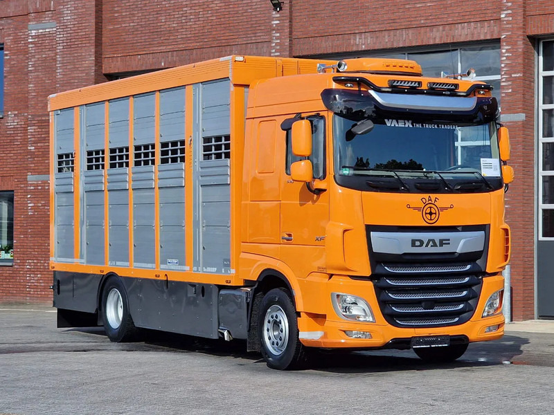 DAF XF 530 4x2 - Livestock Menke 2 deck water & ventilation - Dyretransport lastebil: bilde 3 DAF XF 530 4x2 - Livestock Menke 2 deck water & ventilation - Dyretransport lastebil: bilde 3