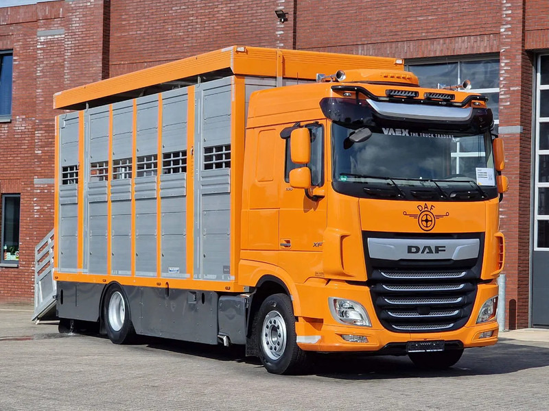 DAF XF 530 4x2 - Livestock Menke 2 deck water & ventilation - Dyretransport lastebil: bilde 1 DAF XF 530 4x2 - Livestock Menke 2 deck water & ventilation - Dyretransport lastebil: bilde 1