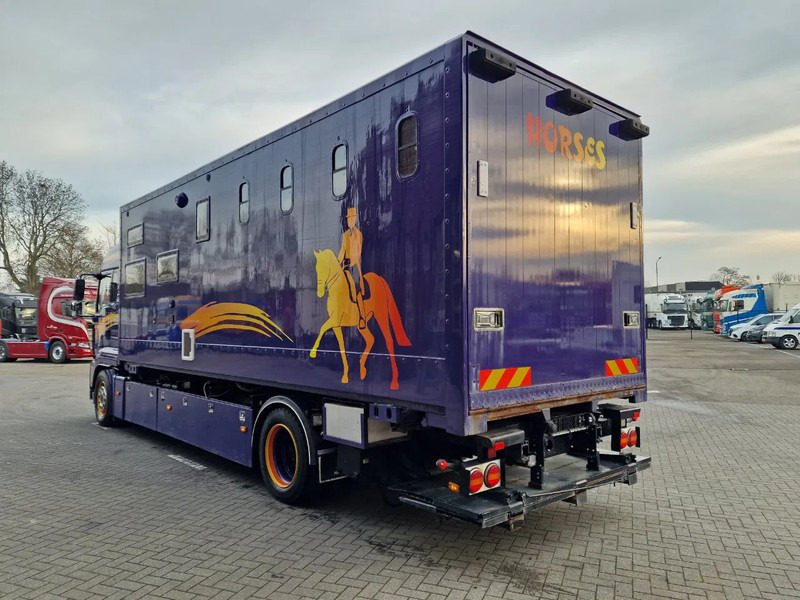Leie MAN TGA 18.360 4x2 - Horse truck + full camper - 4 seats - Loadramp - Automatic gearbox MAN TGA 18.360 4x2 - Horse truck + full camper - 4 seats - Loadramp - Automatic gearbox: bilde 6 Leie MAN TGA 18.360 4x2 - Horse truck + full camper - 4 seats - Loadramp - Automatic gearbox MAN TGA 18.360 4x2 - Horse truck + full camper - 4 seats - Loadramp - Automatic gearbox: bilde 6