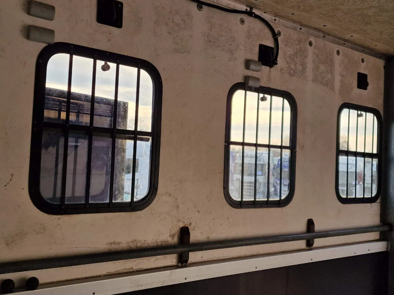 Leie MAN TGA 18.360 4x2 - Horse truck + full camper - 4 seats - Loadramp - Automatic gearbox MAN TGA 18.360 4x2 - Horse truck + full camper - 4 seats - Loadramp - Automatic gearbox: bilde 19 Leie MAN TGA 18.360 4x2 - Horse truck + full camper - 4 seats - Loadramp - Automatic gearbox MAN TGA 18.360 4x2 - Horse truck + full camper - 4 seats - Loadramp - Automatic gearbox: bilde 19