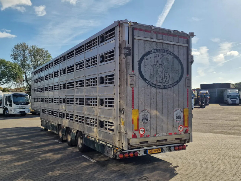 Dyretransport semitrailer Pezzaioli 5 deck livestock trailer - Water & Ventilation - Loadlift - Folding floors - BPW Axle - 155M3: bilde 8 Dyretransport semitrailer Pezzaioli 5 deck livestock trailer - Water & Ventilation - Loadlift - Folding floors - BPW Axle - 155M3: bilde 8