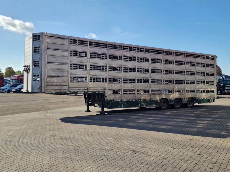 Dyretransport semitrailer Pezzaioli 5 deck livestock trailer - Water & Ventilation - Loadlift - Folding floors - BPW Axle - 155M3: bilde 6 Dyretransport semitrailer Pezzaioli 5 deck livestock trailer - Water & Ventilation - Loadlift - Folding floors - BPW Axle - 155M3: bilde 6