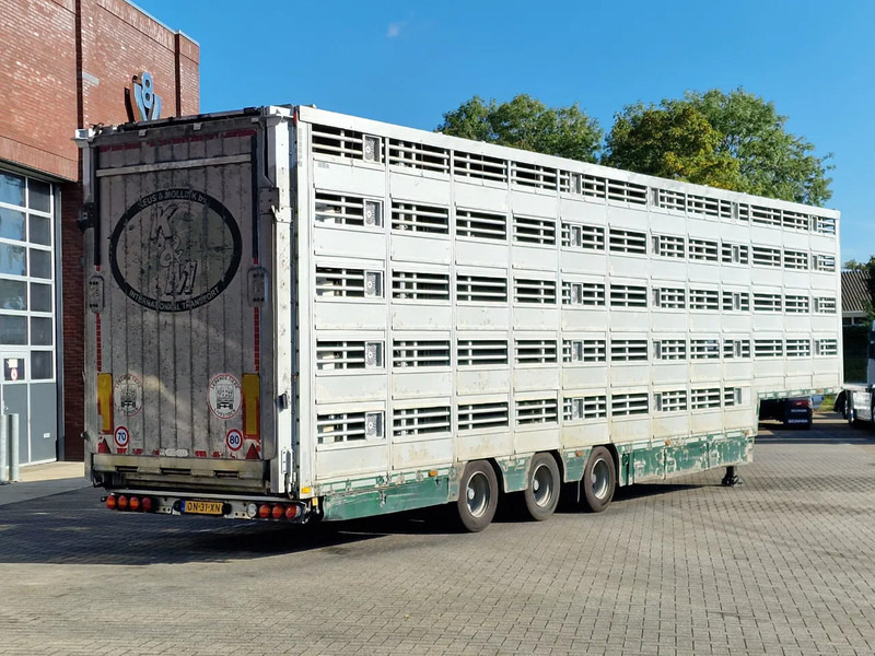 Dyretransport semitrailer Pezzaioli 5 deck livestock trailer - Water & Ventilation - Loadlift - Folding floors - BPW Axle - 155M3: bilde 12 Dyretransport semitrailer Pezzaioli 5 deck livestock trailer - Water & Ventilation - Loadlift - Folding floors - BPW Axle - 155M3: bilde 12