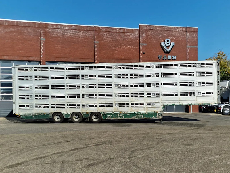 Dyretransport semitrailer Pezzaioli 5 deck livestock trailer - Water & Ventilation - Loadlift - Folding floors - BPW Axle - 155M3: bilde 13 Dyretransport semitrailer Pezzaioli 5 deck livestock trailer - Water & Ventilation - Loadlift - Folding floors - BPW Axle - 155M3: bilde 13