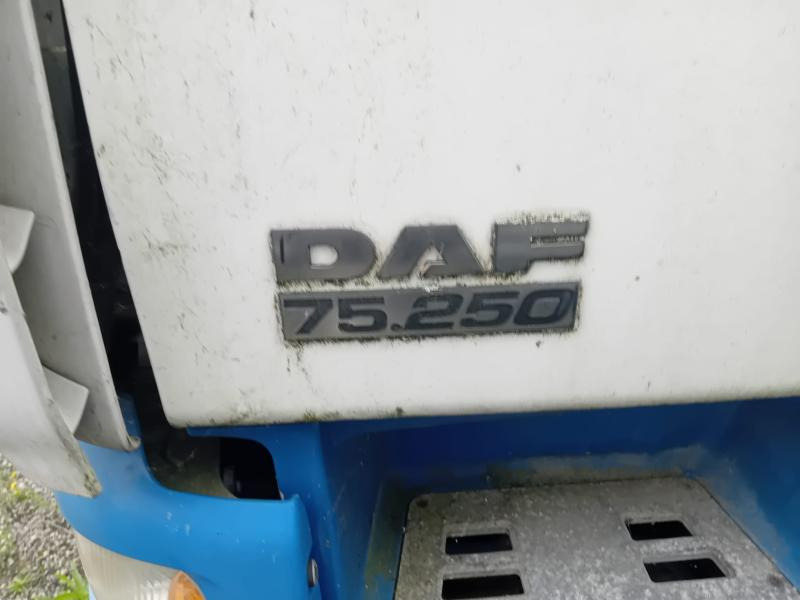 DAF CF 75.250 - Skapbil: bilde 2 DAF CF 75.250 - Skapbil: bilde 2