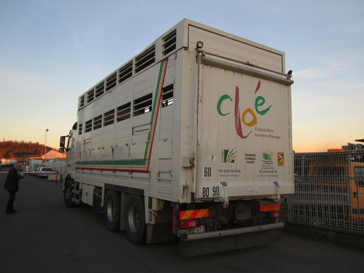 Volvo FH 460 - Dyretransport lastebil: bilde 5 Volvo FH 460 - Dyretransport lastebil: bilde 5