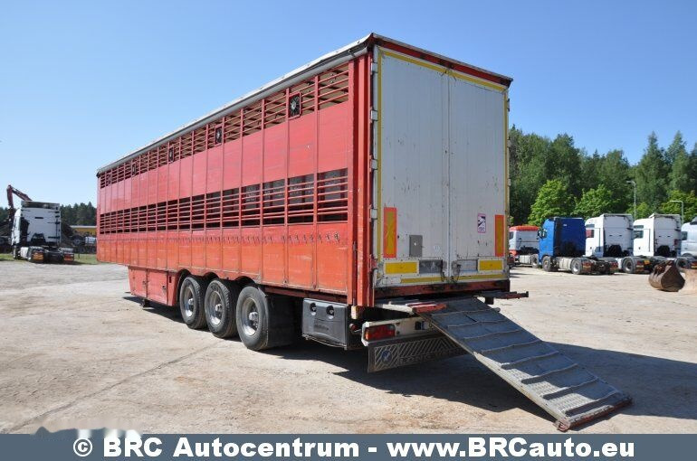 Pezzaioli SCT63U - Dyretransport semitrailer: bilde 4 Pezzaioli SCT63U - Dyretransport semitrailer: bilde 4