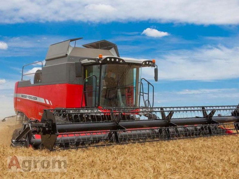 Massey Ferguson 7360 Beta - Skurtresker: bilde 3 Massey Ferguson 7360 Beta - Skurtresker: bilde 3