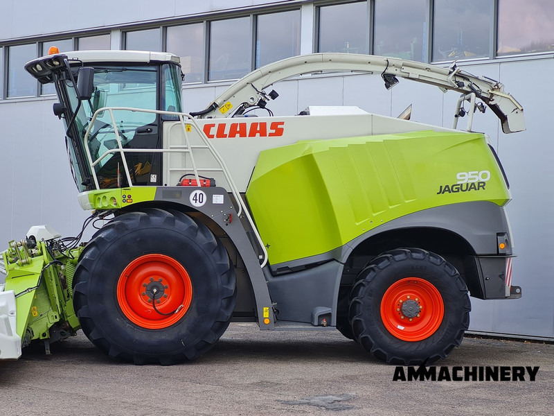 Claas Jaguar 950 4WD - Forhøster: bilde 3 Claas Jaguar 950 4WD - Forhøster: bilde 3