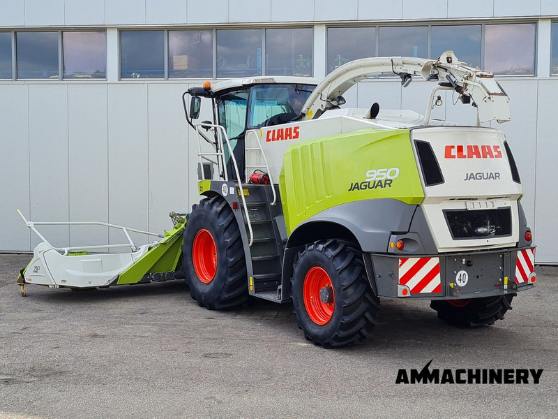 Claas Jaguar 950 4WD - Forhøster: bilde 4 Claas Jaguar 950 4WD - Forhøster: bilde 4