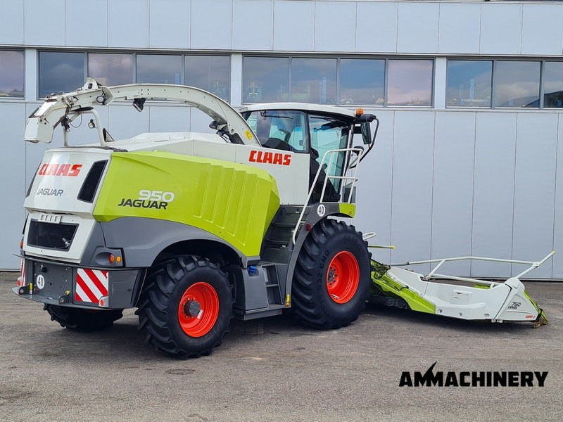 Claas Jaguar 950 4WD - Forhøster: bilde 5 Claas Jaguar 950 4WD - Forhøster: bilde 5
