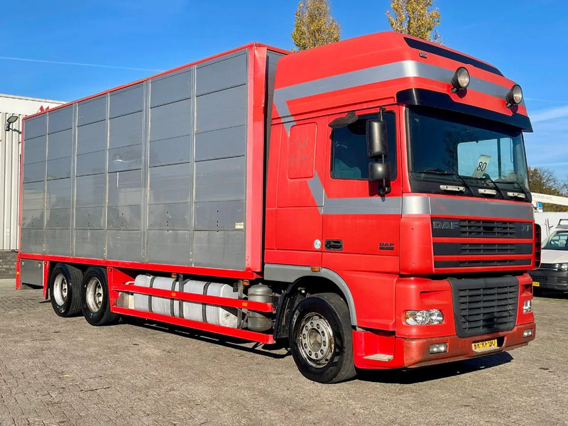 DAF XF 95.430 BERDEX 3 decks. Water, fans, Scales! Excellent condition. - Dyretransport lastebil: bilde 5 DAF XF 95.430 BERDEX 3 decks. Water, fans, Scales! Excellent condition. - Dyretransport lastebil: bilde 5
