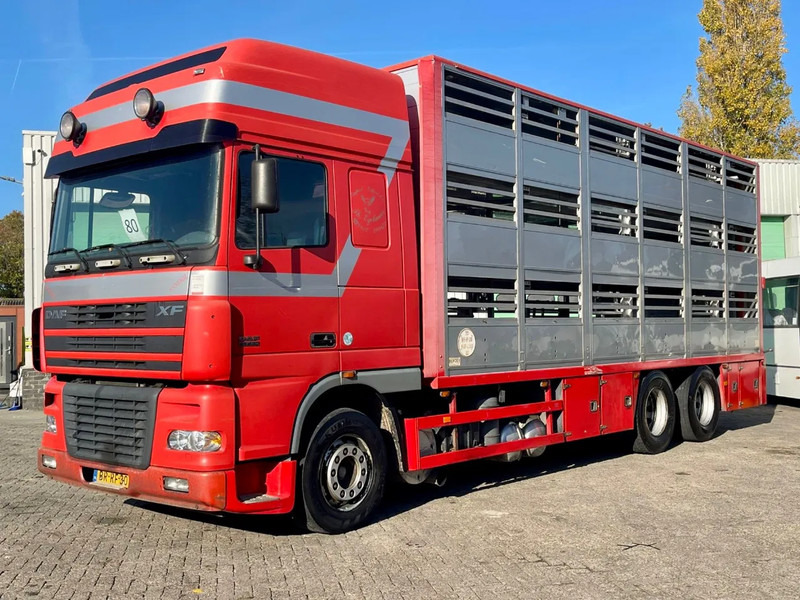 DAF XF 95.430 BERDEX 3 decks. Water, fans, Scales! Excellent condition. - Dyretransport lastebil: bilde 2 DAF XF 95.430 BERDEX 3 decks. Water, fans, Scales! Excellent condition. - Dyretransport lastebil: bilde 2