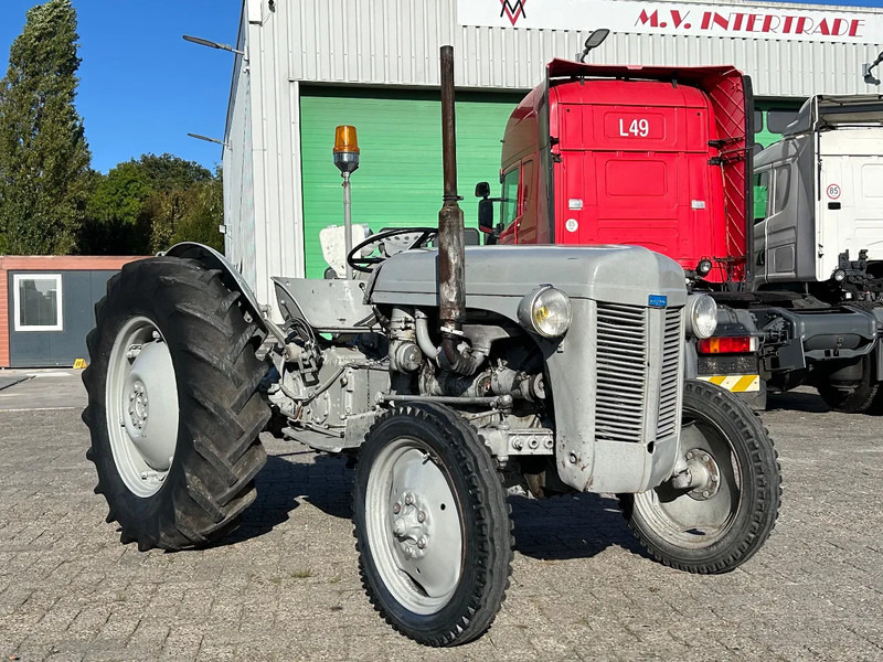 Diversen FERGUSON tractor - Traktor: bilde 2 Diversen FERGUSON tractor - Traktor: bilde 2